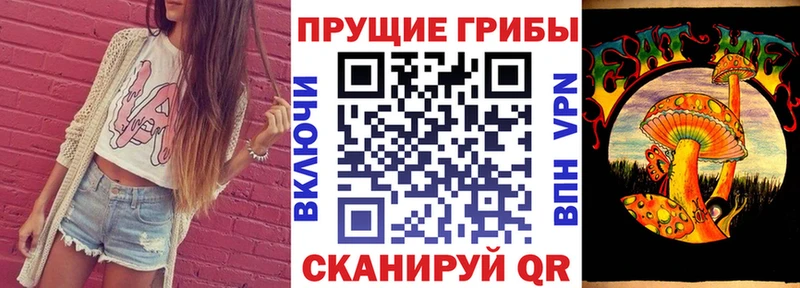 Галлюциногенные грибы ЛСД  мега tor  Кедровый 